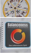 Balancness Spiel Teile