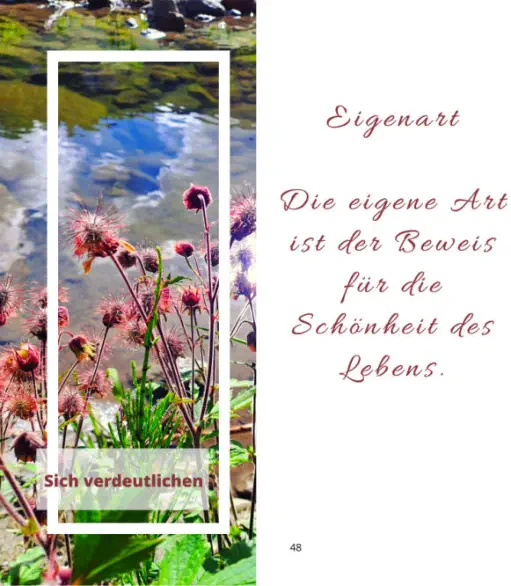 Buch - Meine ideale Bewegung von Herbert Handler