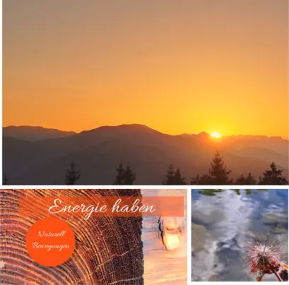 Buch - Meine ideale Bewegung von Herbert Handler