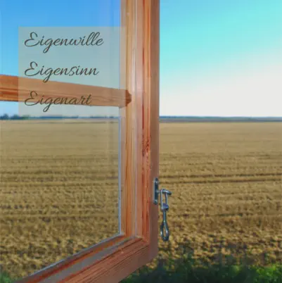 Buch - Meine ideale Bewegung von Herbert Handler